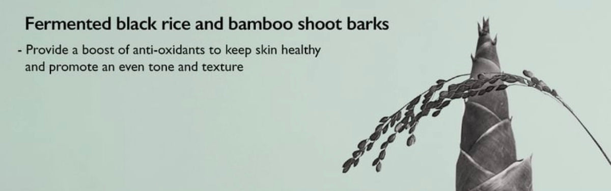 BLACK RICE TRIPLE AHA GENTLE CLEANSING GEL
